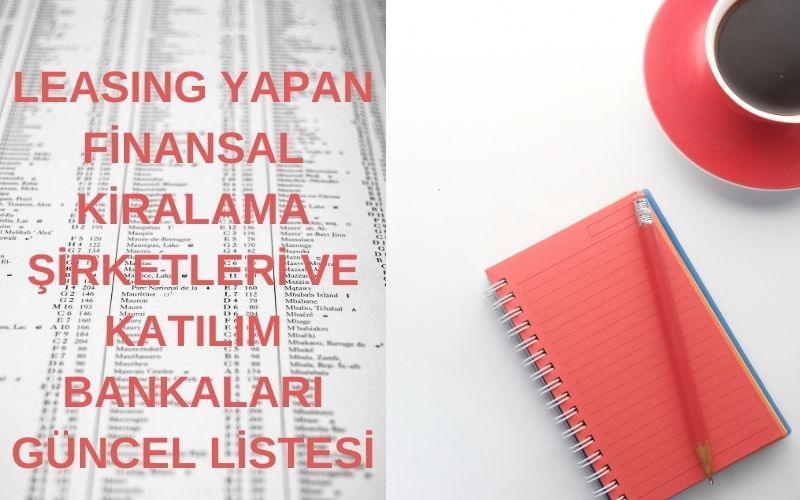 Leasing yapan kuruluşlar hangileridir?